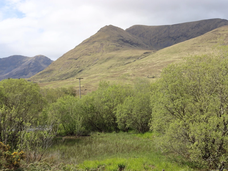 What is Blanket Bog Wild Atlantic Nature