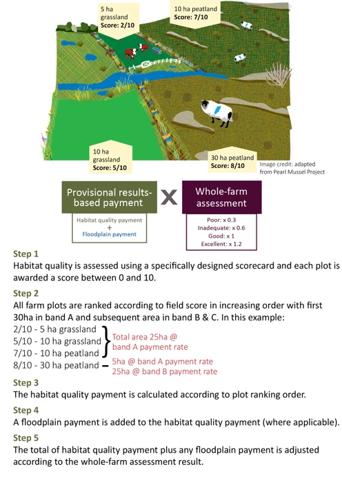 Result-based payment Calculation Process