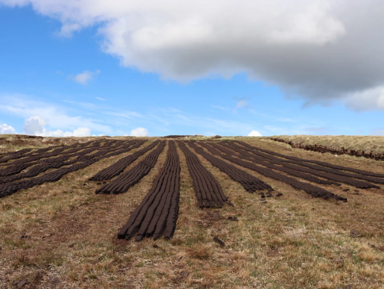 Importance of Blanket Bogs Wild Atlantic Nature