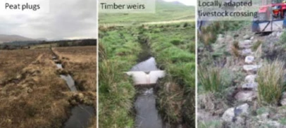Peat Plugs, Timber Weirs and Localled Adapted Livestock Crossing