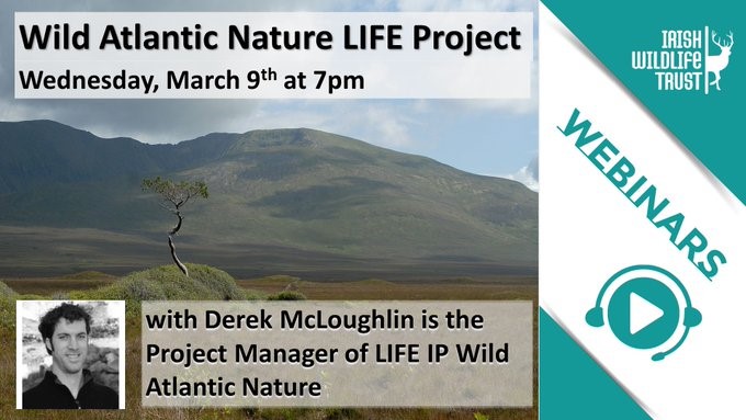 Irish Wildlife Trust Webinar