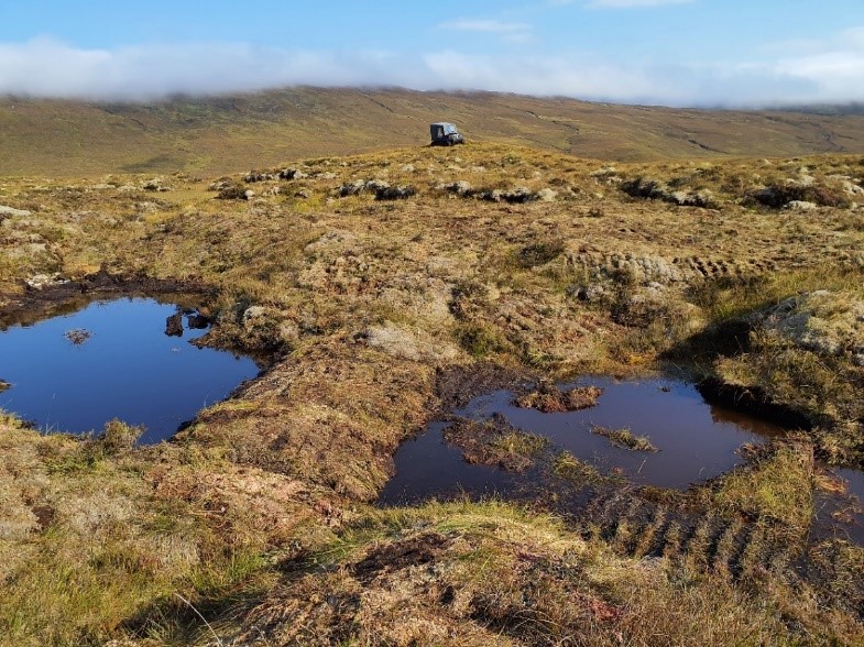 High altitude peatland restoration 