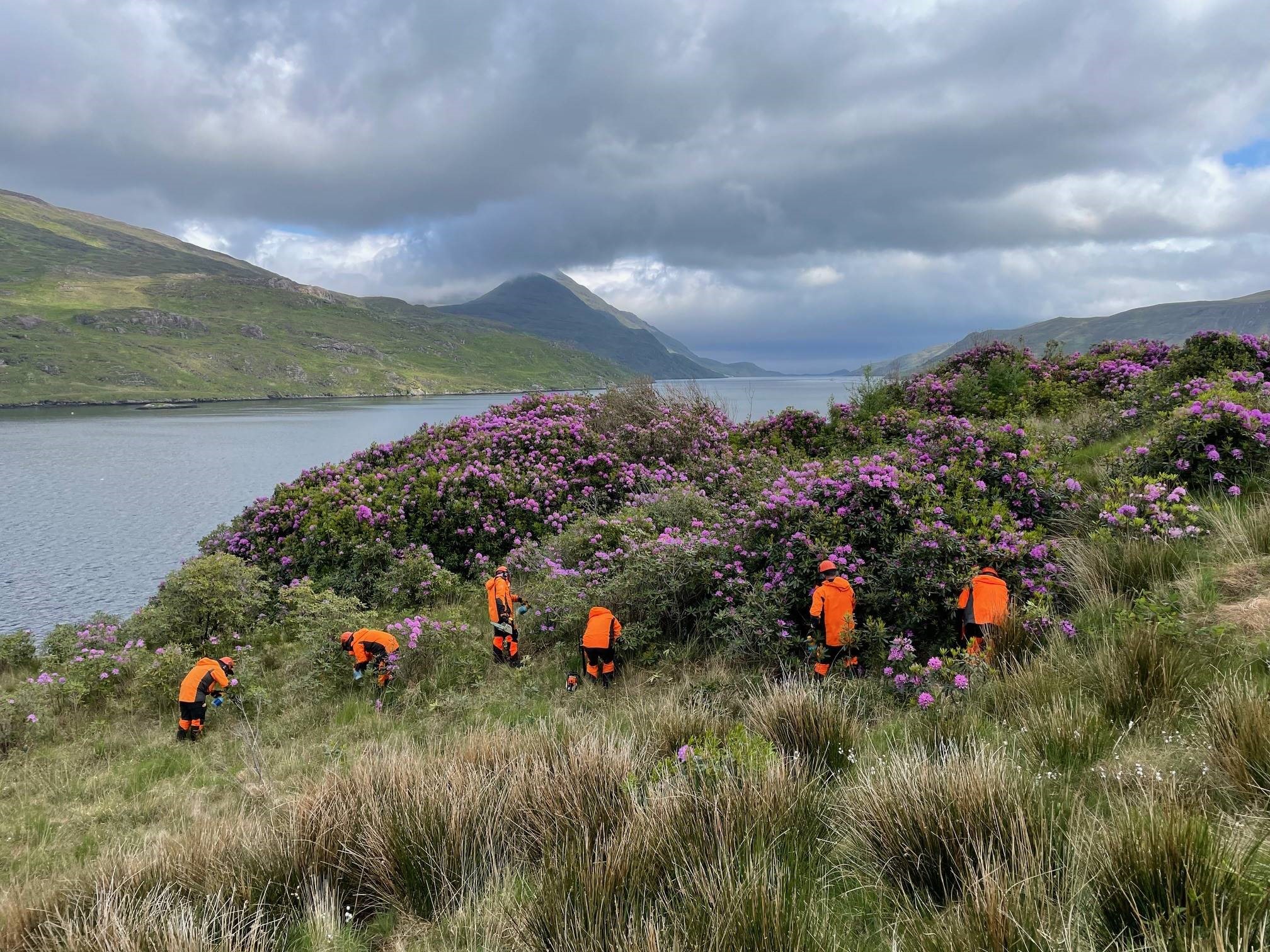 Invasive Species Control