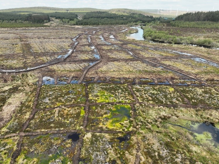 Lough Braden peatland