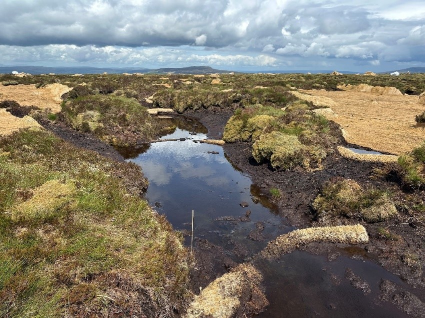 Cuilcagh Anierin