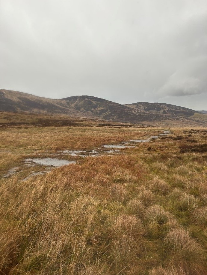 Perth and Kinross, Scotland
