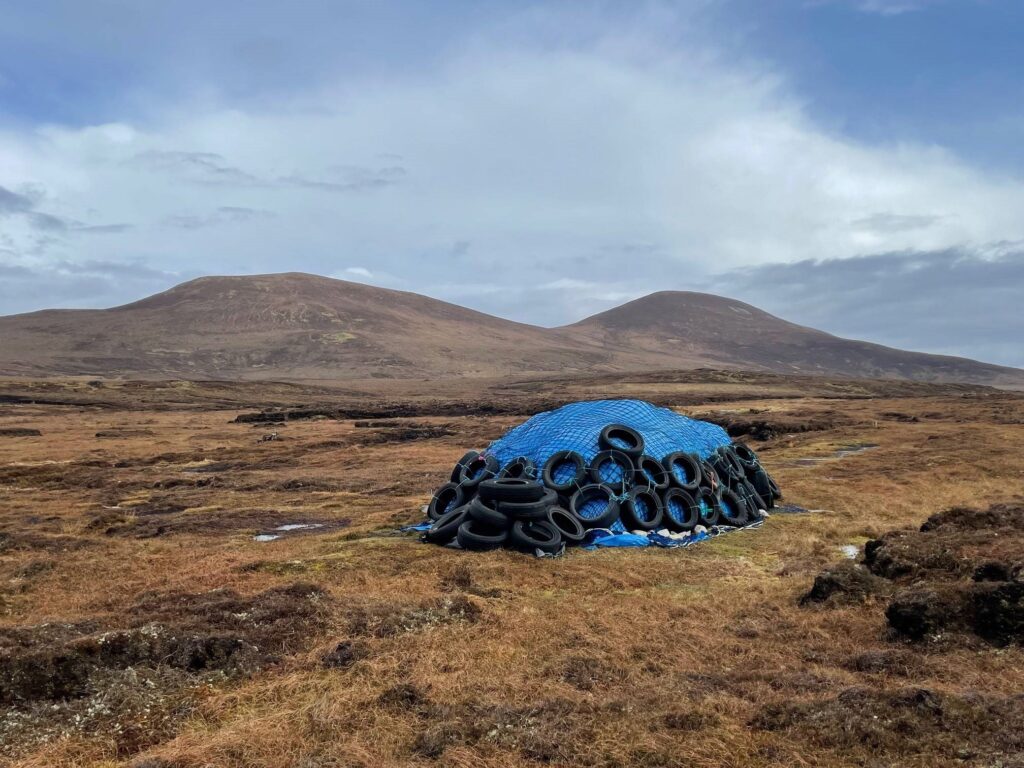 Turf saved under canopy
